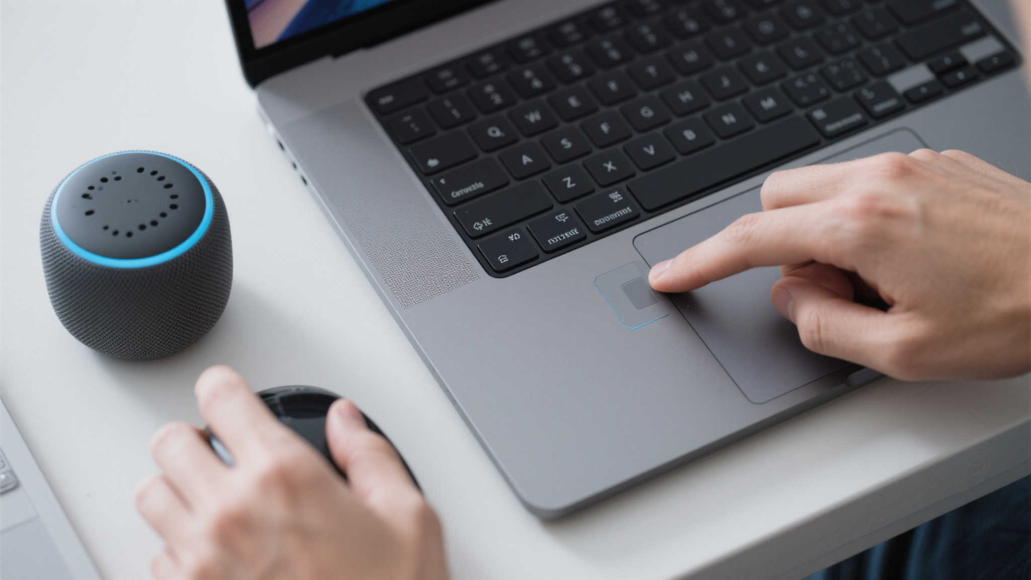 赏金女王模拟器介绍